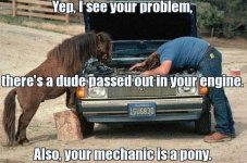 horse-mechanic.jpg