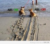 ABS brakes explained.jpg