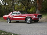 2012 Fall Mustang Pictures 010.jpg