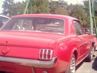 1965MustangCoupe8.jpg