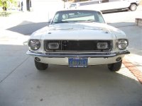 Mustang_Front.jpg