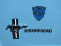 2008 Thunder in the Desert Mustang Show 134.JPG