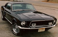 Mustang-3.jpg