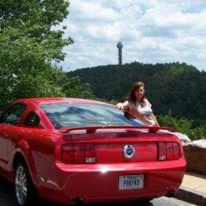 Holly Clark's Mustang GT