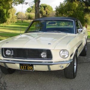 Mustang front view.JPG