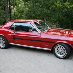Mustang Pictures June 2008 001 RS.jpg