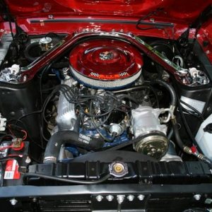 Mustang Pictures June 2008 012 RS.jpg